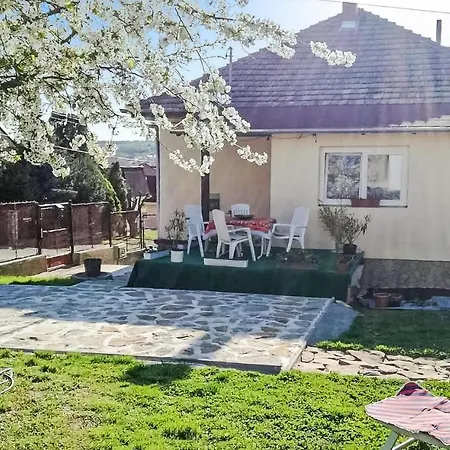 Beautiful In W/ Wifi And 1 Bedrooms Apartment